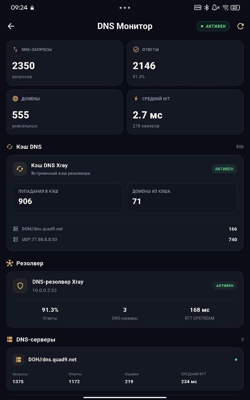 DNS Монитор XRayVless — запросы, кэш и DNS-серверы